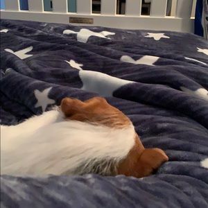 Meet your Posher, Dylan